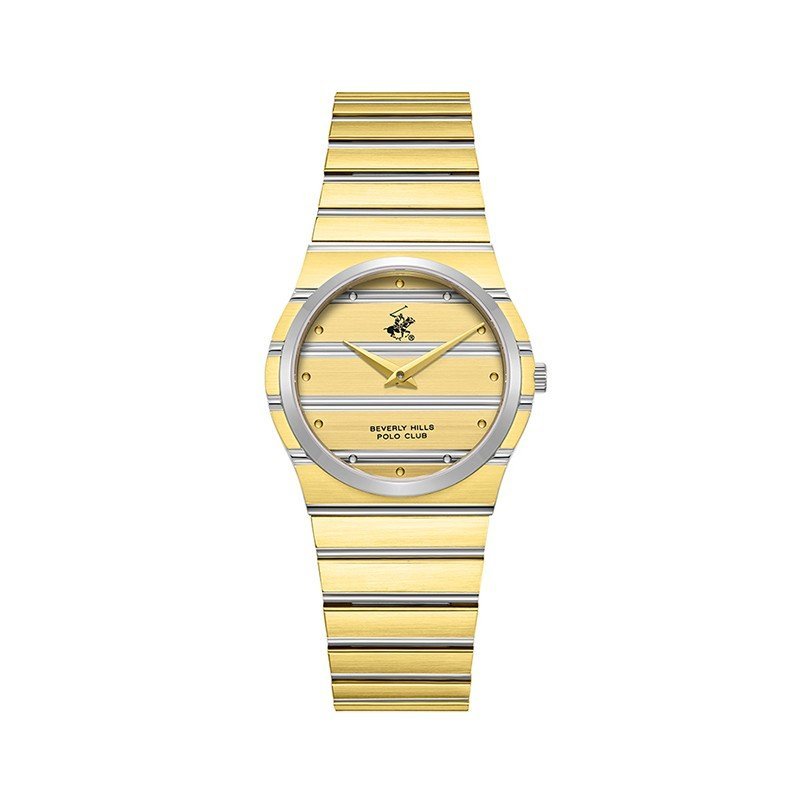 BHPC BP3818X.210