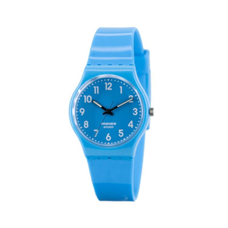 PASNEW PSE-401B/D